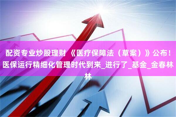 配资专业炒股理财 《医疗保障法（草案）》公布！医保运行精细化管理时代到来_进行了_基金_金春林