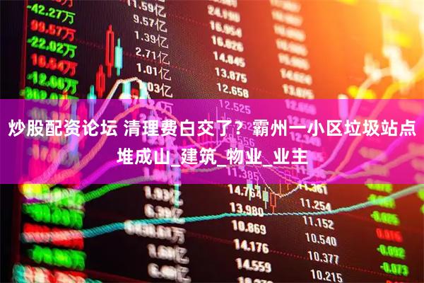 炒股配资论坛 清理费白交了？霸州一小区垃圾站点堆成山_建筑_物业_业主